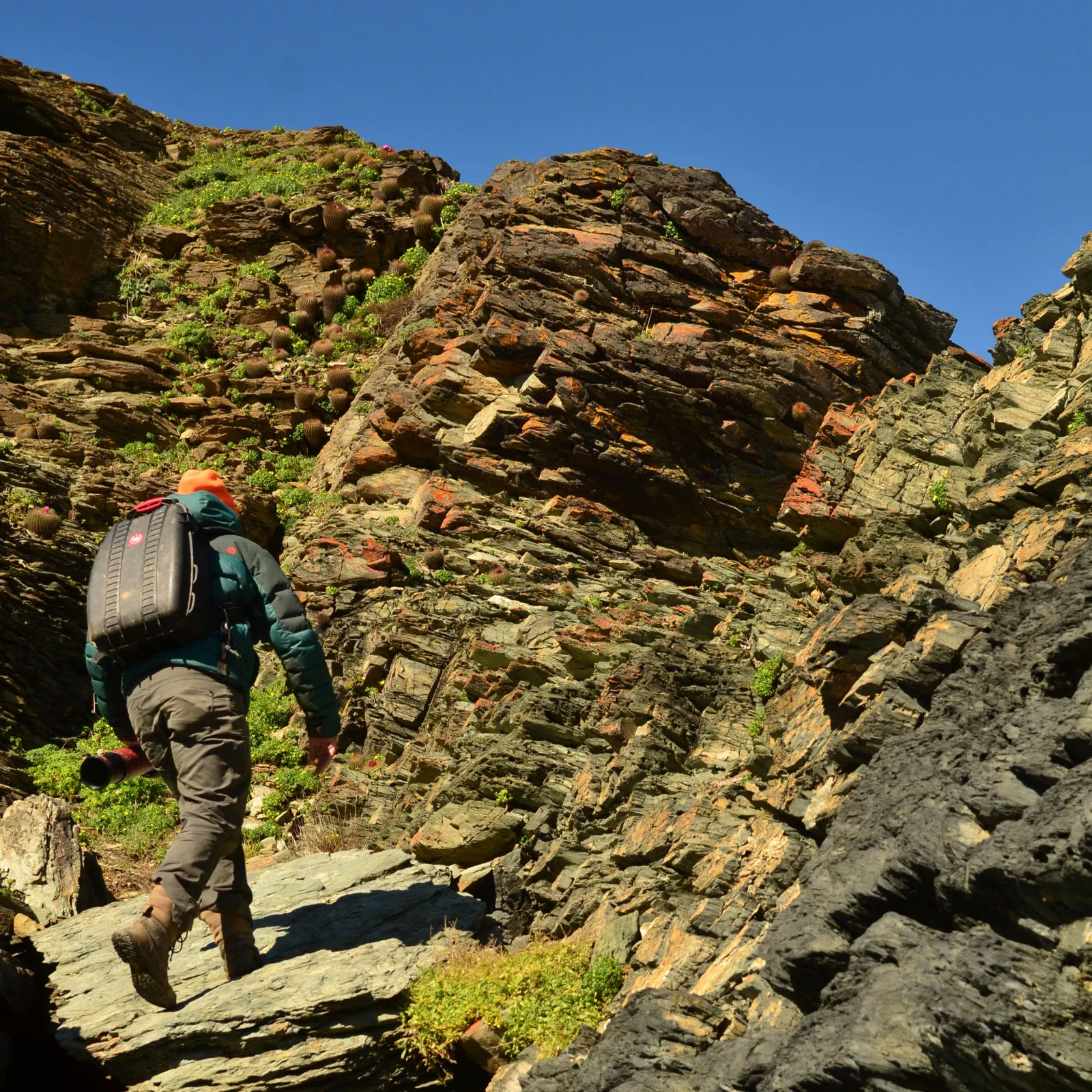Trekking guiado en la zona